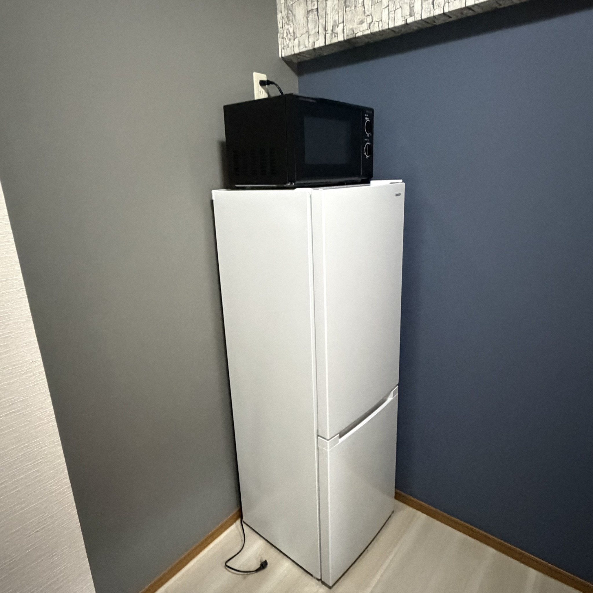 電子レンジと冷蔵庫