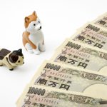 【2019年最新】家具や家電のレンタル業者を選ぶ基準と利用料金